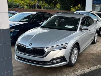 Skoda Octavia 2.0 TDI Style Argento usata Castelnuovo Rangone