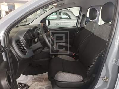 Fiat Panda 1.0 FireFly S&S Hybrid City Cross Grigio usata Sassari