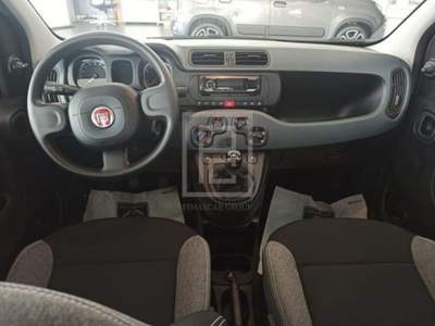 Fiat Panda 1.0 FireFly S&S Hybrid City Cross Grigio usata Sassari