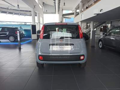 Fiat Panda 1.0 FireFly S&S Hybrid City Cross Grigio usata Sassari