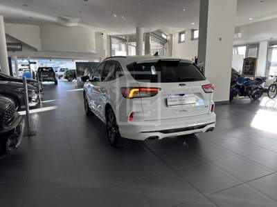 Ford Kuga 2.5 Plug In Hybrid 225 CV CVT 2WD ST-Line X Bianco usata Sassari