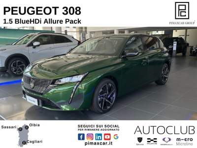 Peugeot 3008 BlueHDi 130 S&S Allure Pack Verde usata Sassari