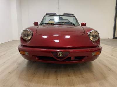 Alfa Romeo Spider Duetto IV Serie Rosso usata Pordenone
