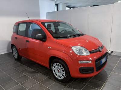 Fiat Panda 1.2 EasyPower Easy Lilla usata Torino