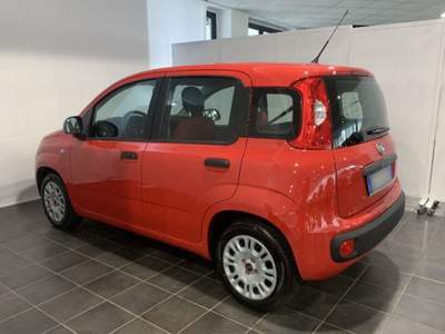 Fiat Panda 1.2 EasyPower Easy Lilla usata Torino