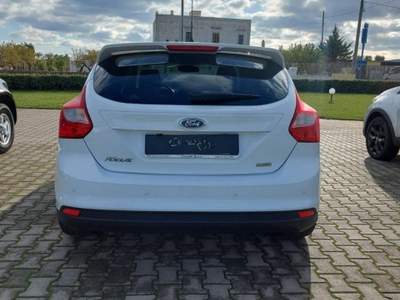 Ford Focus  5p 1.0 ecoboost Titanium s&s 125cv usata Fasano