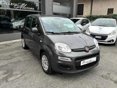 Fiat Panda 1.3 MJT 95 CV S&S Lounge motore nuovo Grigio usata VEROLAVECCHIA