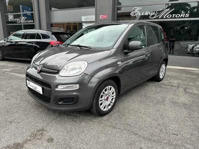 Fiat Panda 1.3 MJT 95 CV S&S Lounge motore nuovo Grigio usata VEROLAVECCHIA