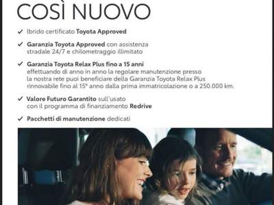 Toyota Land Cruiser 2.8 D4-D 3 porte Active+ Argento usata Cagliari
