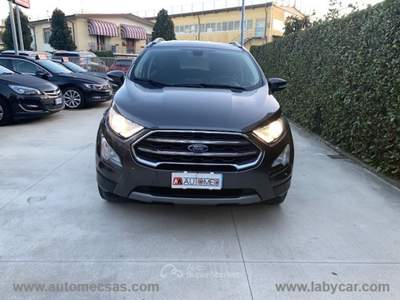 Ford EcoSport EcoSport 1.5 TDCi 95 CV Titanium Grigio usata SAN GIULIANO TERME