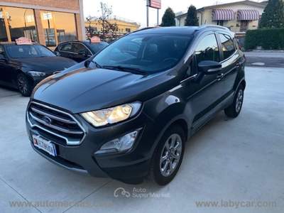 Ford EcoSport EcoSport 1.5 TDCi 95 CV Titanium Grigio usata SAN GIULIANO TERME