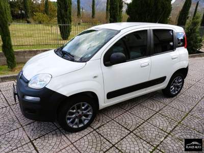 Fiat Panda  Bianco usata Cassino