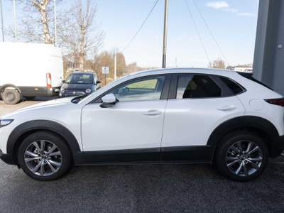 Mazda CX-30 2.0L Skyactiv-G 150 CV M Hybrid 2WD Executive Bianco usata Silea