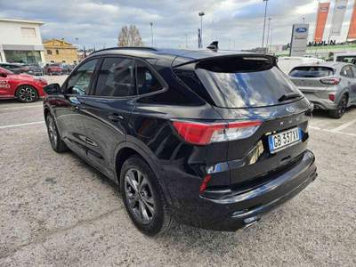 Ford Kuga 2.0 EcoBlue Hybrid 150 CV 2WD ST-Line X Nero usata Fano