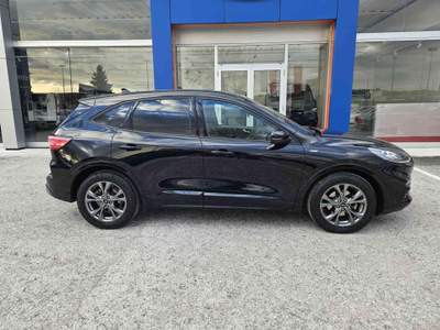 Ford Kuga 2.0 EcoBlue Hybrid 150 CV 2WD ST-Line X Nero usata Fano