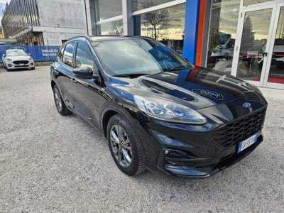 Ford Kuga 2.0 EcoBlue Hybrid 150 CV 2WD ST-Line X Nero usata Fano