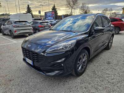 Ford Kuga 2.0 EcoBlue Hybrid 150 CV 2WD ST-Line X Nero usata Fano