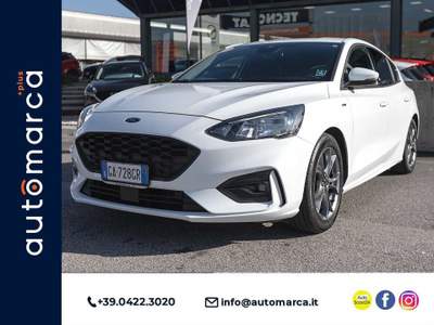 Ford Focus 1.0 EcoBoost 125 CV 5p. ST Line Bianco usata Silea
