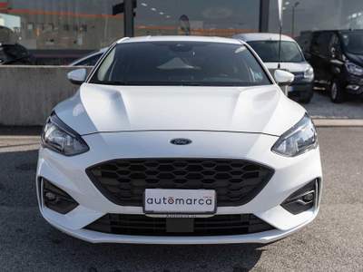Ford Focus 1.0 EcoBoost 125 CV 5p. ST Line Bianco usata Silea