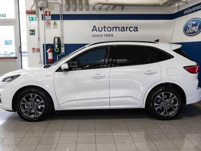 Ford Kuga 2.5 Full Hybrid 190 CV CVT 2WD ST-Line Bianco usata Silea