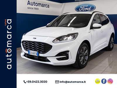 Ford Kuga 2.5 Full Hybrid 190 CV CVT 2WD ST-Line Bianco usata Silea