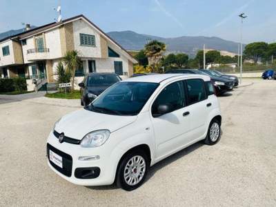 Fiat Panda 1.2 EasyPower GPL 69cv CONDIZIONI AMMIREVOLI/ANT 0 Bianco usata Presenzano