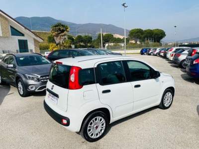 Fiat Panda 1.2 EasyPower GPL 69cv CONDIZIONI AMMIREVOLI/ANT 0 Bianco usata Presenzano