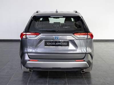 Toyota RAV4 RAV4 2.5 HV  E-CVT 2WD Active usata San Severo