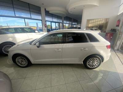 Audi A3 SPB 1.6 TDI clean diesel Business Bianco usata Coriano