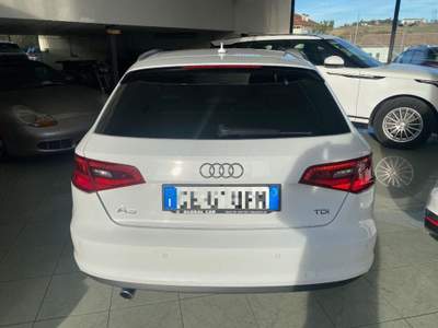 Audi A3 SPB 1.6 TDI clean diesel Business Bianco usata Coriano