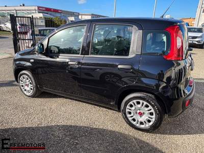 Fiat Panda 1.2 EasyPower  NEOPATENTATI Nero usata Pisa