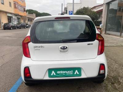 Kia Picanto  Bianco usata Pulsano
