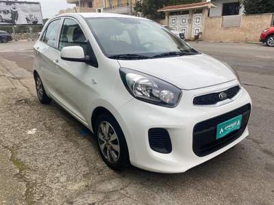 Kia Picanto  Bianco usata Pulsano