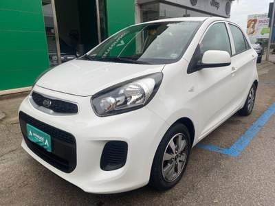 Kia Picanto  Bianco usata Pulsano