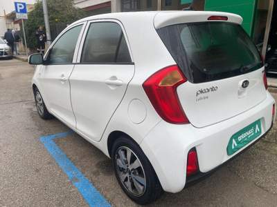 Kia Picanto  Bianco usata Pulsano