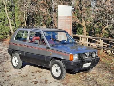 Fiat Panda 1ª serie 4x4 Grigio usata RONCADE
