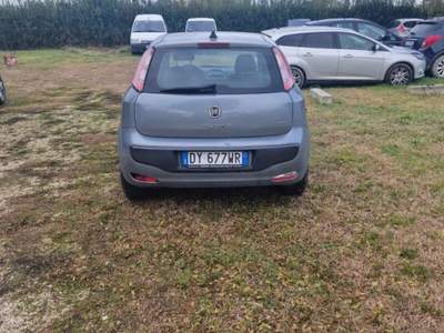 Fiat Punto Evo 1.3 Mjt 75 CV DPF 5 porte S&S Active Grigio usata Cesena