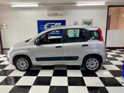 Fiat Panda 1.3 mjt 16v Easy s&s 95cv Argento usata Paola