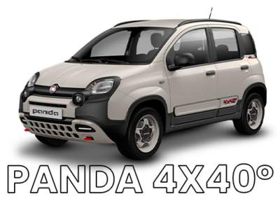 Fiat Panda 0.9 TwinAir Turbo S&S 4x40 Bianco usata Napoli
