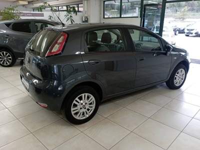 Fiat Punto 1.4 natural power Lounge 70cv 5p usata Sora