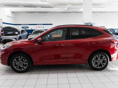 Ford Kuga 2.5 Plug In Hybrid 225 CV CVT 2WD ST-Line PHEV Rosso usata Silea