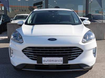 Ford Kuga Kuga 1.5 EcoBoost 120 CV 2WD Titanium Bianco usata Silea