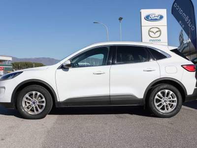 Ford Kuga Kuga 1.5 EcoBoost 120 CV 2WD Titanium Bianco usata Silea