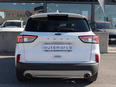 Ford Kuga Kuga 1.5 EcoBoost 120 CV 2WD Titanium Bianco usata Silea