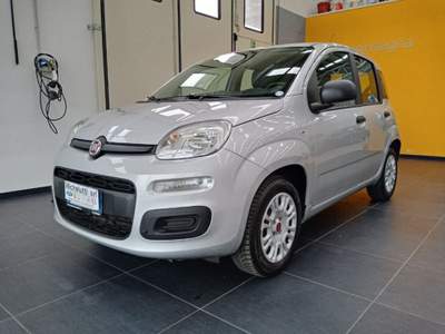 Fiat Panda 1.2 Easy Argento usata Gemona del Friuli