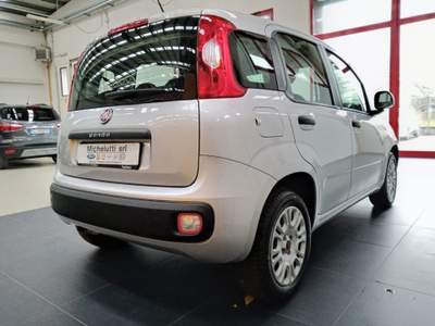 Fiat Panda 1.2 Easy Argento usata Gemona del Friuli