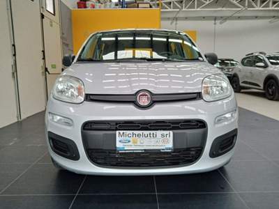 Fiat Panda 1.2 Easy Argento usata Gemona del Friuli