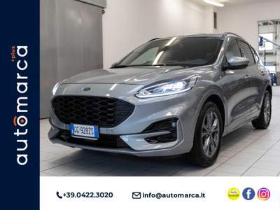 Ford Kuga 1.5 EcoBoost 150 CV 2WD ST-Line Grigio usata Silea