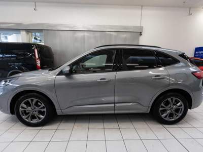 Ford Kuga 1.5 EcoBoost 150 CV 2WD ST-Line Grigio usata Silea
