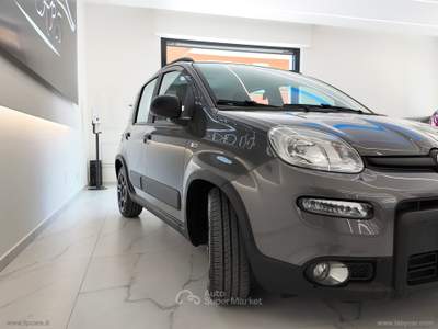 Fiat Panda Panda 1.0 FireFly S&S Hybrid City Life usata Cerignola